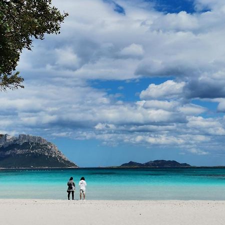 Villa Vacanze Da Sogno A Pochi Km. Da Olbia à Porto Istana Extérieur photo