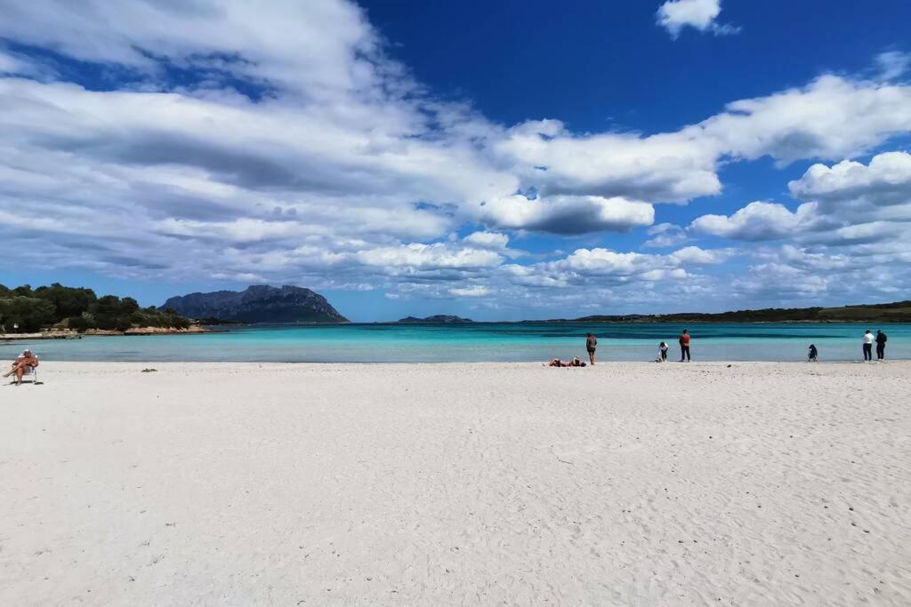 Villa Vacanze Da Sogno A Pochi Km. Da Olbia à Porto Istana Extérieur photo