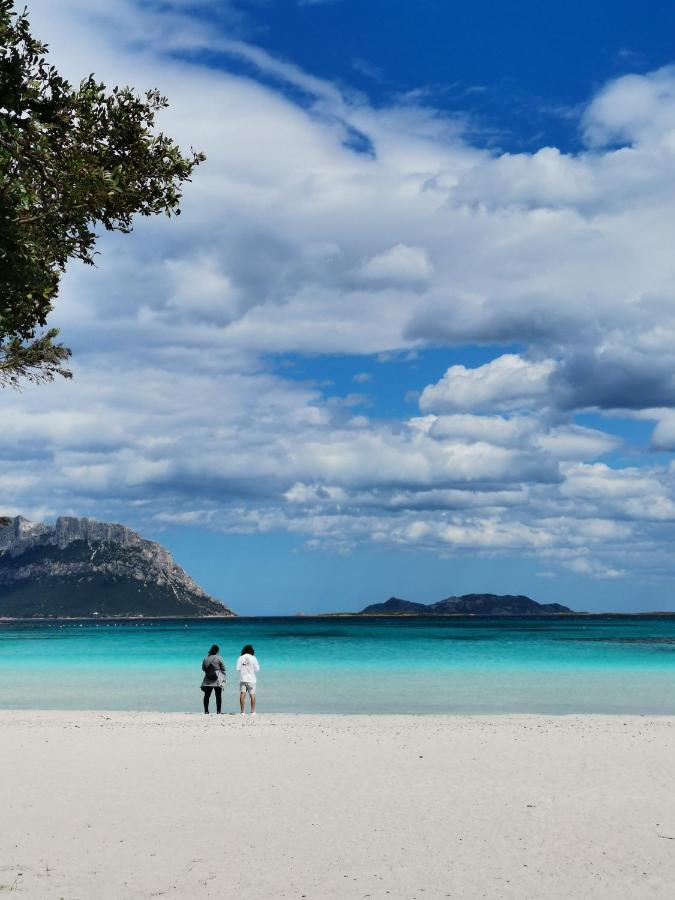 Villa Vacanze Da Sogno A Pochi Km. Da Olbia à Porto Istana Extérieur photo